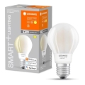 Ampoule à intensité variable LED SMART+ FILAMENT E27/11W/230V 2700K Wi-Fi - Ledvance