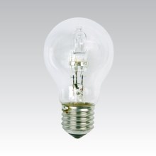 Ampoule halogène à usage intensif E14/25W/230V - Ecolite