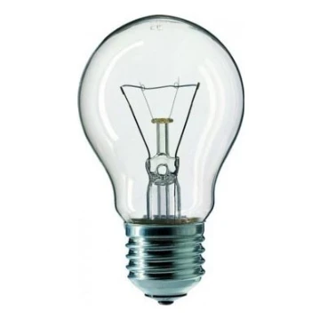 Ampoule industrielle CLEAR E27/100W/240V