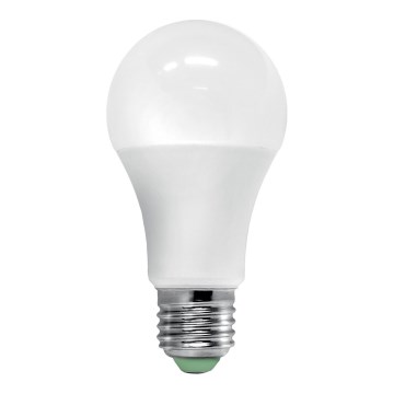 Ampoule LED avec détecteur ECOLINE A60 E27/12W/230V 3000K -  Brilagi
