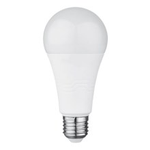 LEDYA Ampoule LED E27 Blanc-Froid,13W Equivalen0t 100W,6000K