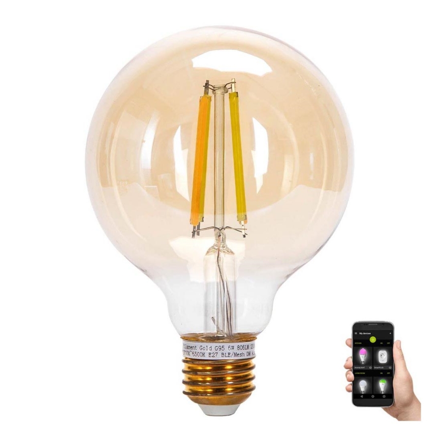 Ampoule LED FILAMENT G95 E27/6W/230V 2700-6500K - Aigostar