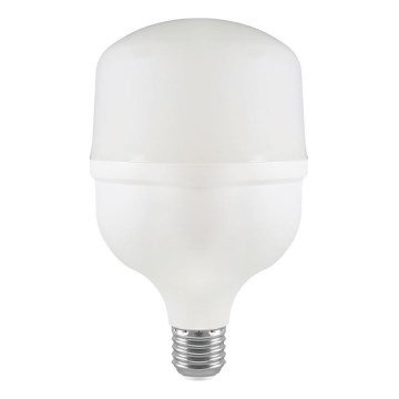 Ampoule LED T100 E27/30W/230V 4000K