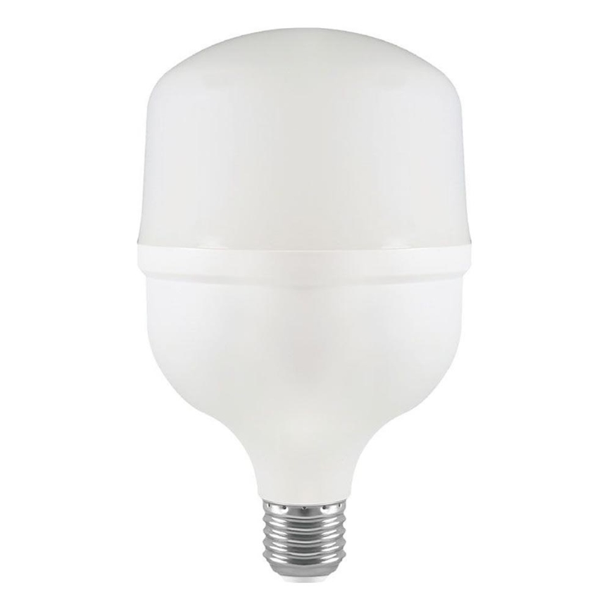 Ampoule LED T100 E27/30W/230V 4000K