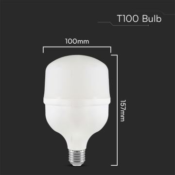 Ampoule LED T100 E27/30W/230V 4000K