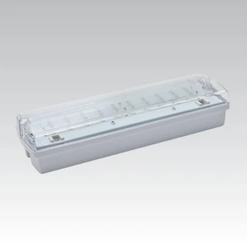 Bloc de secours LED CARLA LED/5,51W/230V temporaire 1h IP65