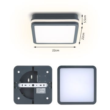 Brilagi - Luminaire extérieur avec détecteur BENE LED/18W/230V 22x22 cm anthracite IP54