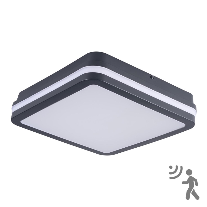 Brilagi - Luminaire extérieur avec détecteur BENE LED/24W/230V 26x26 cm anthracite IP54