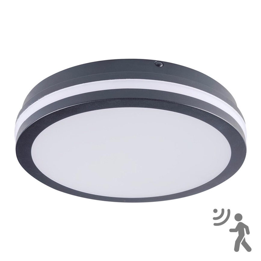 Brilagi - Luminaire extérieur avec détecteur BENE LED/24W/230V d. 26 cm anthracite IP54