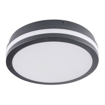 Brilagi - Luminaire extérieur BENE LED/18W/230V d. 22 cm anthracite IP54