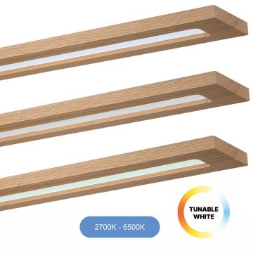 Brilagi - Panneau RGBW à intensité variable WOODY FRAME LED/34W/230V 2700-6500K chêne + télécommande