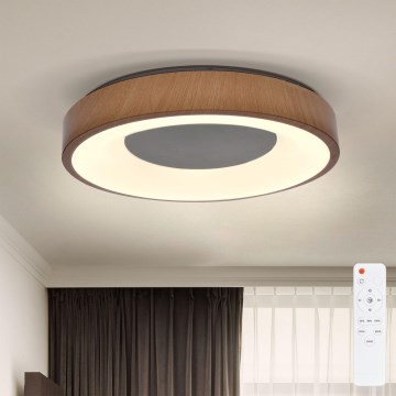 Brilagi - Plafonnier à intensité variable DORIA LED/48W/230V 3000-6500K d. 39 cm + télécommande