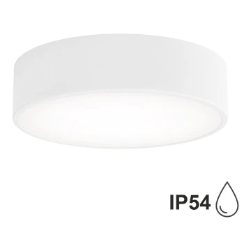 Brilagi - Plafonnier de salle de bain CLARE 2xE27/24W/230V d. 30 cm blanc IP54