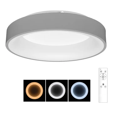 Brilagi - Plafonnier LED à intensité variable FALCON LED/40W/230V 3000-6500K gris + télécommande