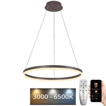 Brilagi - Suspension filaire à intensité variable CIRCLE LED/42W/230V 3000-6500K marron + télécommande