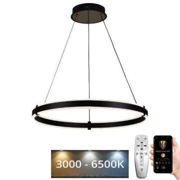 Brilagi - Suspension filaire à intensité variable CIRCLE LED/85W/230V 3000-6500K noir + télécommande