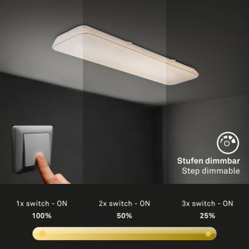 Briloner 3042-016 - Plafonnier à intensité variable RUPA LED/48W/230V