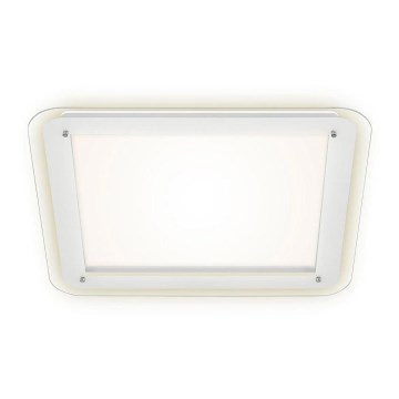 Briloner 3397-016 - Plafonnier LED FREE LED/22W/230V