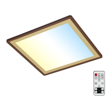 Briloner 7459-417 - Plafonnier à intensité variable LED DECO LED/24W/230V 2700-6500K + télécommande