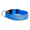 Collier pour chien rechargeable 35-43 cm 1xCR2032/5V/40 mAh bleu