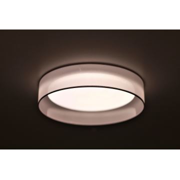 Duolla - Plafonnier LED ROLLER LED/24W/230V gris clair