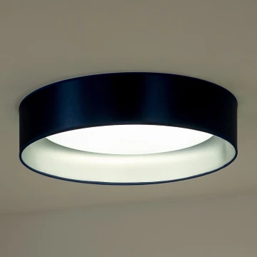 Duolla - Plafonnier ROLLER LED/24W/230V bleu/argent