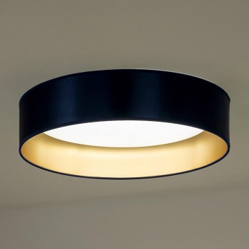 Duolla - Plafonnier ROLLER LED/24W/230V bleu/doré