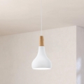 Eglo - Suspension 1xE27/60W/230V d. 18 cm blanc