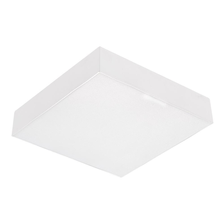 Emithor 63215 - Plafonnier LED SURFACE 1xLED/10W/230V