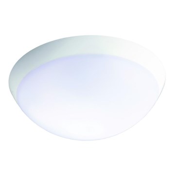 Fulgur 26233 - LED Luminaire de secours industriel avec un détecteur ROMANA LED/20W/230V IP64