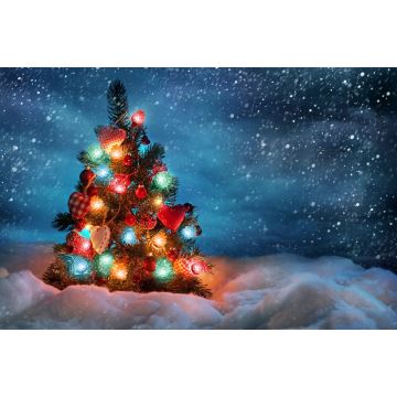 Guirlande de Noël LED extérieur 80xLED/25m IP44 multicolore