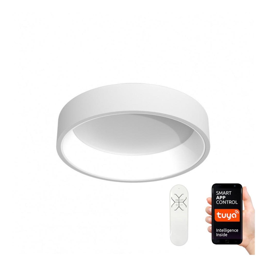 Immax NEO 07016L - Plafonnier à intensité variable AGUJERO LED/30W/230V + télécommande Tuya