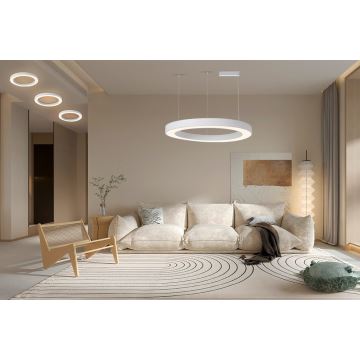 Immax NEO 07214L - Suspension filaire à intensité variable PASTEL LED/68W/230V 2700-6500K blanc 95 cm Tuya + télécommande