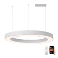 Immax NEO 07214L - Suspension filaire à intensité variable PASTEL LED/68W/230V 2700-6500K blanc 95 cm Tuya + télécommande