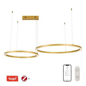 Immax NEO 07218L - Suspension filaire à intensité variable LED FINO LED/93W/230V 60/80cm doré Tuya + télécommande