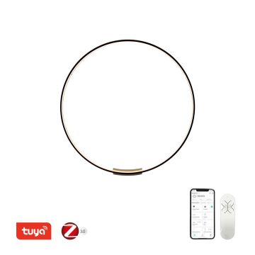 Immax NEO 07245-80 - Applique murale à intensité variable FINO LED/50W/230V 2700-6500K 80 cm Tuya + télécommande