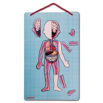 Janod - Puzzle magnétique BODYMAGNET corps humain