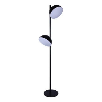 Lampadaire CROWD 2xLED/10W/230V noir