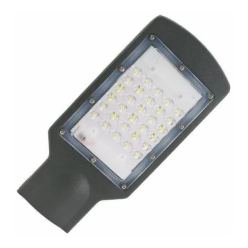Lampadaire LED/30W/170-400V IP67
