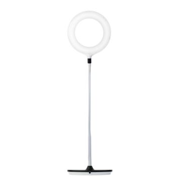 Lampe de table LED BELLA LED/7W/12V