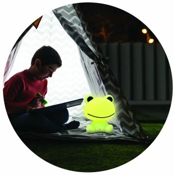 Lampe tactile à intensité variable pour enfants FROG LED/2,5W/3,7V 1200 mAh