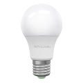 LED Ampoule ECOLINE A60 E27/15W/230V 6500K - Brilagi