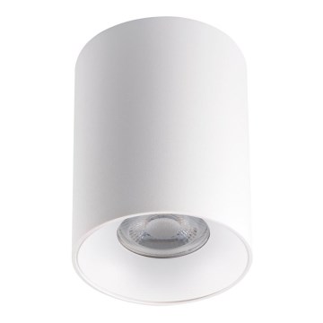 LED Plafonnier RITI 1xGU10/25W/230V blanc