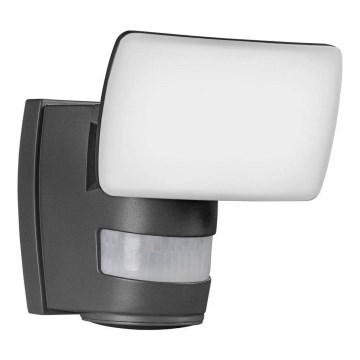 Ledvance - Applique murale LED extérieur avec capteur  FLOOD LED/24W/230V IP44