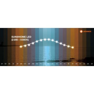 Ledvance - Lampadaire à intensité variable SUN@HOME LED/36W/230V 2200-5000K CRI 95 Wi-Fi
