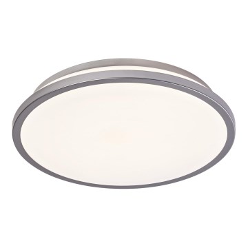 Ledvance - Plafonnier ORBIS DUBLIN LED/16W/230V d. 29,5 cm