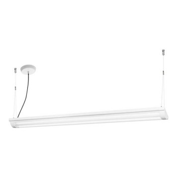 Ledvance - Suspension LED à intensité variable OFFICE LINE 2xLED/25W/230V