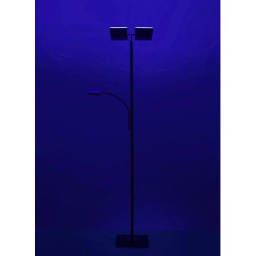 Leuchten Direkt 11925-55- Lampadaire à intensité variable LED RGB RUBEN 2xLED/11W/230V+LED/4,8W 2700-5000K + Télécommande