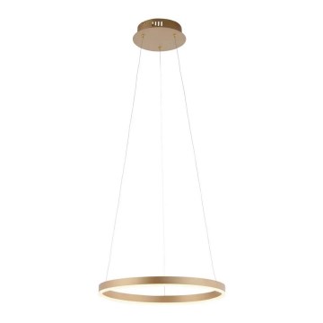 Leuchten Direkt 15393-60 - Lustre à intensité variable sur un fil RITUS LED/20W/230V