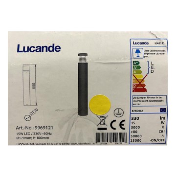 Lucande - Lampe LED extérieure JAXON LED/15W/230V IP54